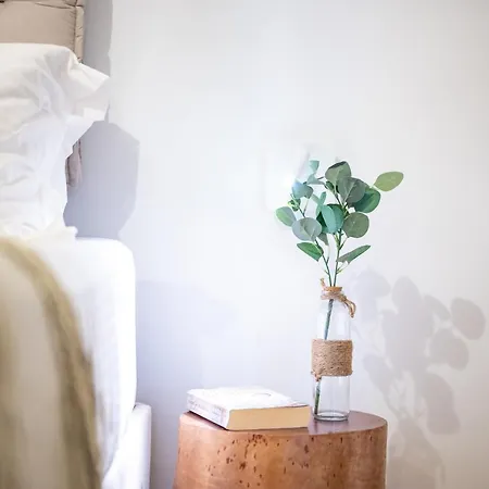 Mykosvilla With Private Pool Villa *